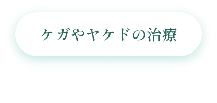 ニキビ・毛穴