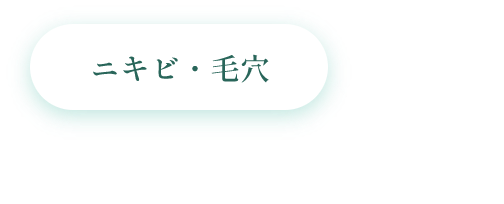 ニキビ・毛穴